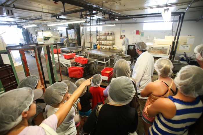 Taffy Tours